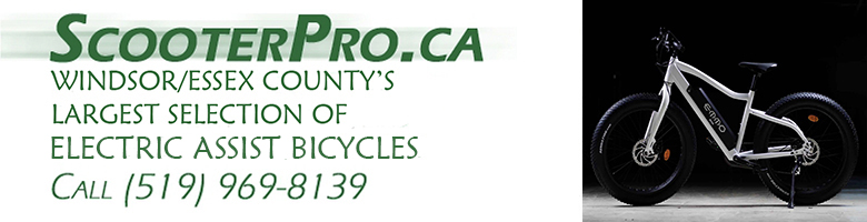windsor electric bike